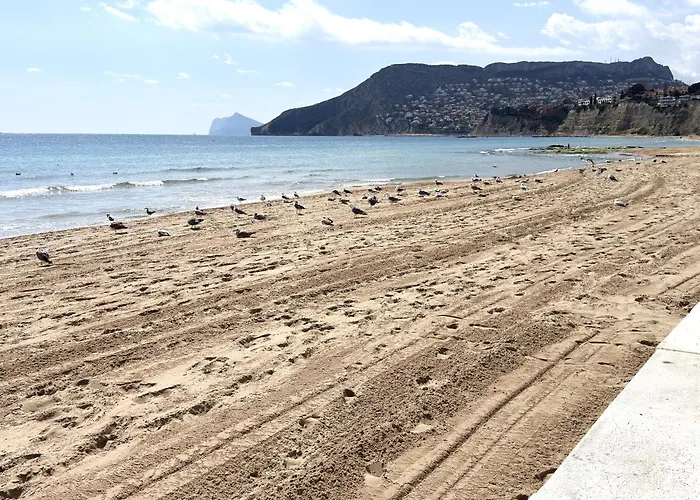 Terrasoul Apartmens Alexia In 公寓 卡尔佩